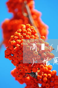 浦發(fā)信用卡欠5000(浦發(fā)信用卡欠5000不還會(huì)怎么樣)