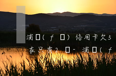 浦發(fā)信用卡欠5萬現(xiàn)在只有2萬-浦發(fā)信用卡欠5萬現(xiàn)在只有2萬怎么辦