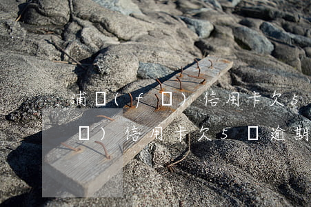 浦發(fā)信用卡欠5萬逾期了(浦發(fā)信用卡欠5萬逾期了)