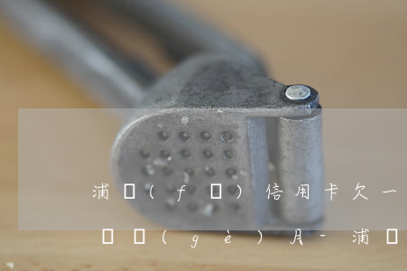 浦發(fā)信用卡欠一萬(wàn)逾期兩個(gè)月-浦發(fā)萬(wàn)用金逾期兩年每月都有200還款銀行起訴會(huì)怎樣