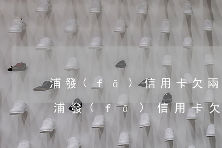 浦發(fā)信用卡欠兩萬多逾期一年多-浦發(fā)信用卡欠兩萬多逾期一年多怎么辦