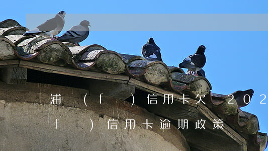 浦發(fā)信用卡欠單 2020年浦發(fā)信用卡逾期政策