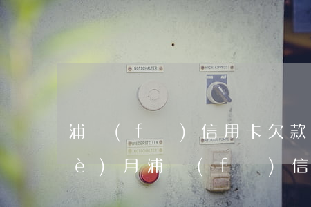 浦發(fā)信用卡欠款2萬逾期5個(gè)月(浦發(fā)信用卡欠款2萬逾期5個(gè)月)