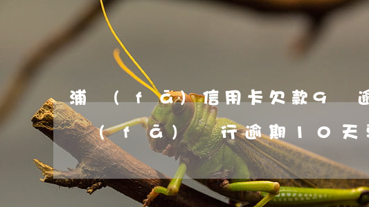 浦發(fā)信用卡欠款9萬逾期30天(浦發(fā)銀行逾期10天要求還全款聯(lián)系家里人)