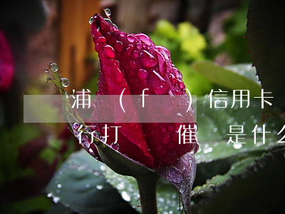 浦發(fā)信用卡沒(méi)有逾期銀行打電話催還是什么情況（浦發(fā)信用卡沒(méi)有逾期）