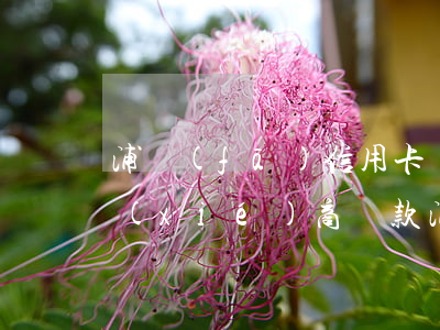 浦發(fā)信用卡沒(méi)逾期好協(xié)商還款(浦發(fā)逾期協(xié)商還款只給一年時(shí)間卡還不能用)