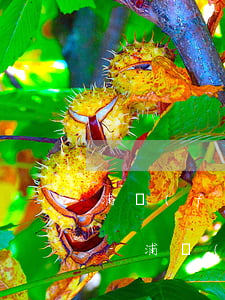 浦發(fā)信用卡沒有逾期為啥打電話催-浦發(fā)信用卡沒有逾期為啥打電話催收