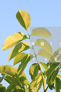 浦發(fā)信用卡沒激活卡費逾期 浦發(fā)銀行卡未激活會怎樣