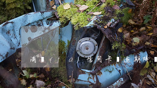 浦發(fā)信用卡沒逾期降額