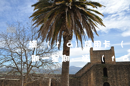 浦發(fā)信用卡無(wú)能力償還逾期一星期-浦發(fā)信用卡無(wú)能力償還逾期一星期會(huì)怎么樣