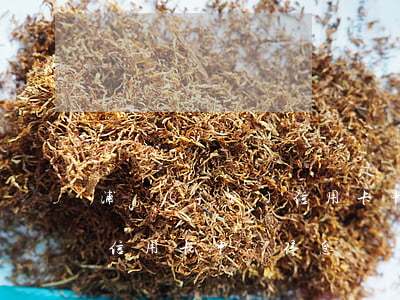 浦發(fā)信用卡申請停息(浦發(fā)信用卡申請停息掛賬,要先還一筆有效還款嗎)