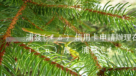 浦發(fā)信用卡申請辦理在線申請進(jìn)度-浦發(fā)信用卡申請辦理在線申請進(jìn)度查詢