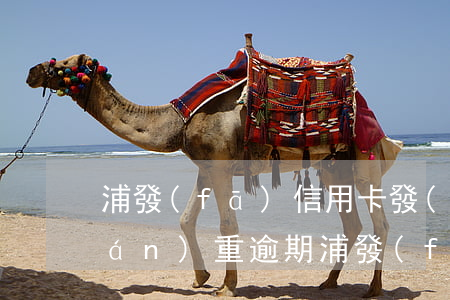 浦發(fā)信用卡發(fā)短信嚴(yán)重逾期(浦發(fā)信用卡逾期多久會(huì)被起訴或者上門)
