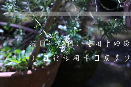 浦發(fā)信用卡的透支額度(浦發(fā)銀行信用卡額度多少)