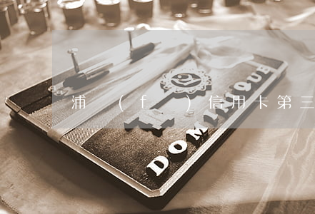 浦發(fā)信用卡第三方協(xié)商