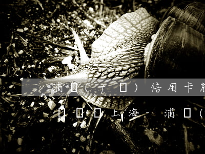 浦發(fā)信用卡能協(xié)商停息掛賬嗎上海-浦發(fā)能協(xié)商還款嗎