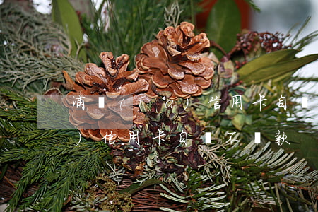 浦發(fā)信用卡自動不還款(浦發(fā)信用卡自動不還款)