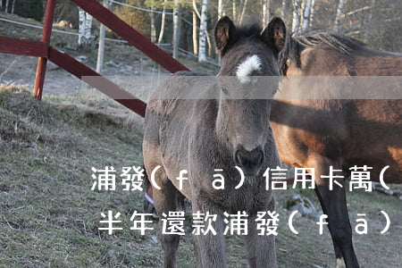 浦發(fā)信用卡萬(wàn)用金逾期半年還款 浦發(fā)銀行萬(wàn)用金逾期兩年怎樣跟銀行協(xié)商