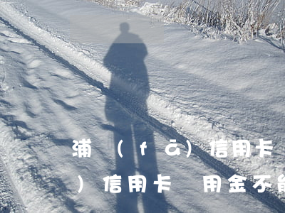 浦發(fā)信用卡萬用金不還(浦發(fā)信用卡萬用金不能用了怎么辦?)