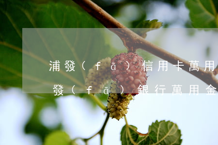 浦發(fā)信用卡萬用金逾期要起訴-浦發(fā)銀行萬用金可以投訴嗎