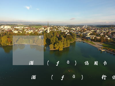 浦發(fā)信用卡賬務(wù)逾期提醒(浦發(fā)銀行信用卡到期)