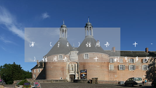 浦發(fā)信用卡賬單十萬-浦發(fā)信用卡賬單十萬利息多少