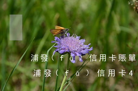浦發(fā)信用卡賬單日還款算不算逾期(浦發(fā)信用卡4天算逾期嗎)