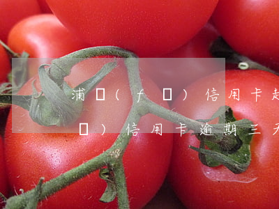 浦發(fā)信用卡超期不還怎樣(浦發(fā)信用卡逾期三天還款會(huì)不會(huì)有滯納金)