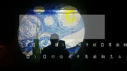 浦發(fā)信用卡超額算逾期嗎(浦發(fā)銀行信用卡有逾期怎么辦)