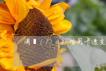 浦發(fā)信用卡透支最高額度