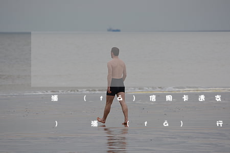 浦發(fā)信用卡透支流量付費(fèi)嗎(浦發(fā)銀行儲蓄卡可以透支嗎)