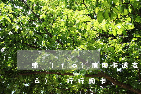 浦發(fā)信用卡透支用什么卡(浦發(fā)銀行行用卡)