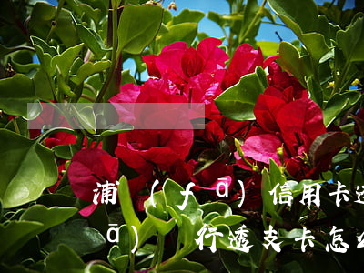 浦發(fā)信用卡透支能用多少(浦發(fā)銀行透支卡怎么收費(fèi))