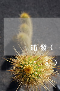 浦發(fā)信用卡逾期100元-浦發(fā)信用卡逾期100元