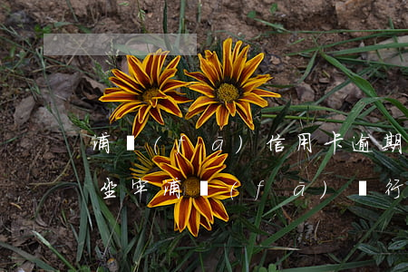 浦發(fā)信用卡逾期10萬(wàn)坐牢(浦發(fā)銀行逾期一年,金額5000會(huì)被起訴嗎?)