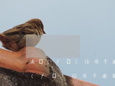浦發(fā)信用卡逾期10萬4個月(浦發(fā)信用卡逾期10萬4個月)