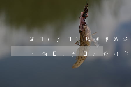 浦發(fā)信用卡逾期11天想分期還款-浦發(fā)信用卡逾期11天想分期還款可以嗎