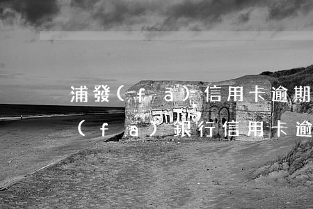 浦發(fā)信用卡逾期13天怎么辦(浦發(fā)銀行信用卡 逾期)