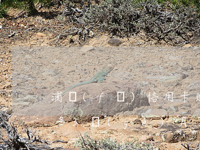 浦發(fā)信用卡逾期14萬(wàn)多3個(gè)月了-浦發(fā)信用卡逾期14萬(wàn)多3個(gè)月了怎么辦