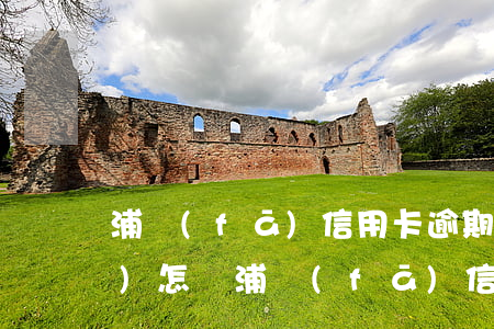 浦發(fā)信用卡逾期17萬會(huì)怎樣(浦發(fā)信用卡逾期17萬會(huì)怎樣處理)