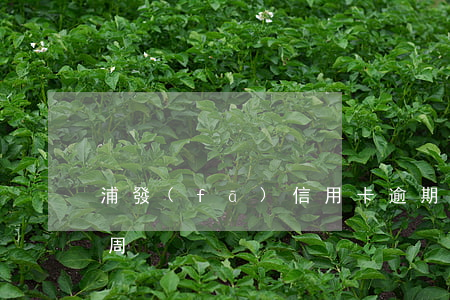 浦發(fā)信用卡逾期1周(信用卡 逾期 一周)