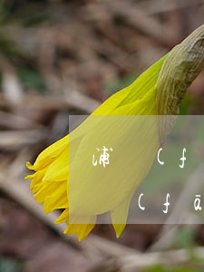浦發(fā)信用卡逾期1年會起訴嗎-浦發(fā)信用卡18萬逾期1年