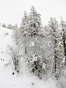 浦發(fā)信用卡逾期2000會上門-浦發(fā)信用卡逾期2000會上門催收嗎