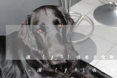 浦發(fā)信用卡逾期2000會上門么-浦發(fā)信用卡逾期2000會上門么