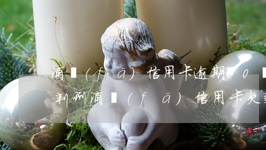 浦發(fā)信用卡逾期20萬(wàn)判刑(浦發(fā)信用卡欠款1萬(wàn)逾期多久會(huì)被起訴)