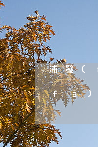 浦發(fā)信用卡逾期20萬報案(浦發(fā)信用卡欠款20萬逾期三個月了會不會坐牢)