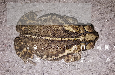 浦發(fā)信用卡逾期25天會怎么樣-浦發(fā)信用卡逾期25天會怎么樣嗎