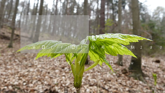 浦發(fā)信用卡逾期280天(浦發(fā)信用卡10萬(wàn)逾期六個(gè)月)