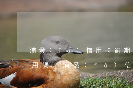 浦發(fā)信用卡逾期2天會影響個人信用嗎-浦發(fā)信用卡逾期2天會影響個人信用嗎