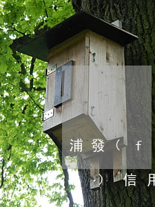 浦發(fā)信用卡逾期2天還款(浦發(fā)信用卡逾期兩天才還上,影響信用記錄嗎)